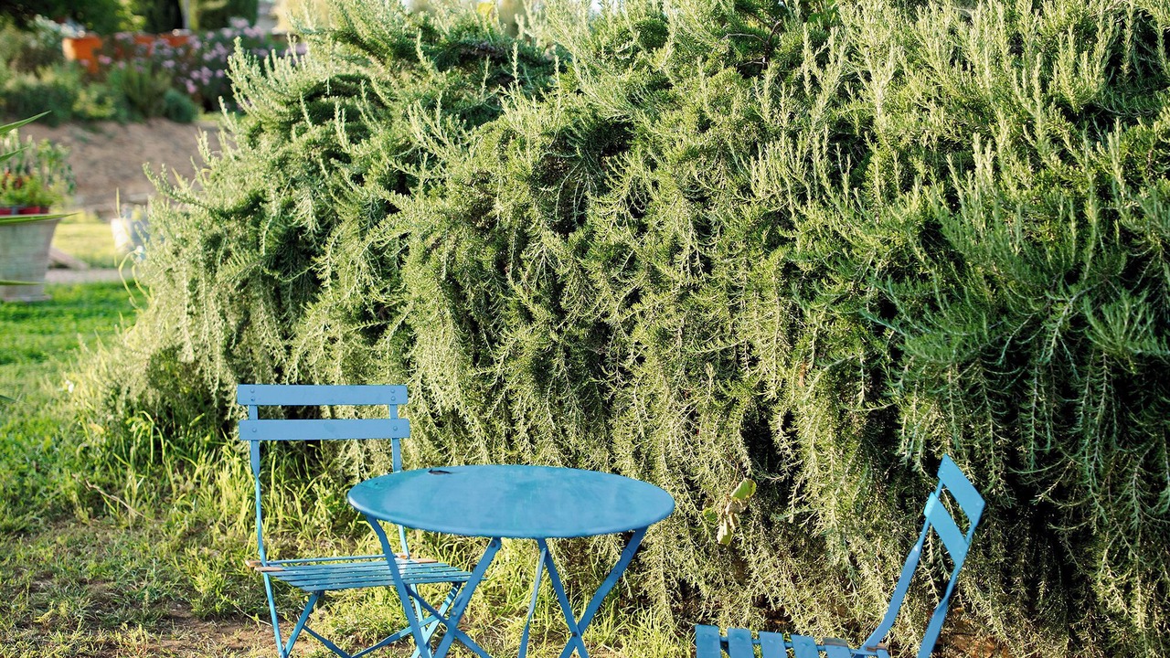 Photo of Outdoor in Butera