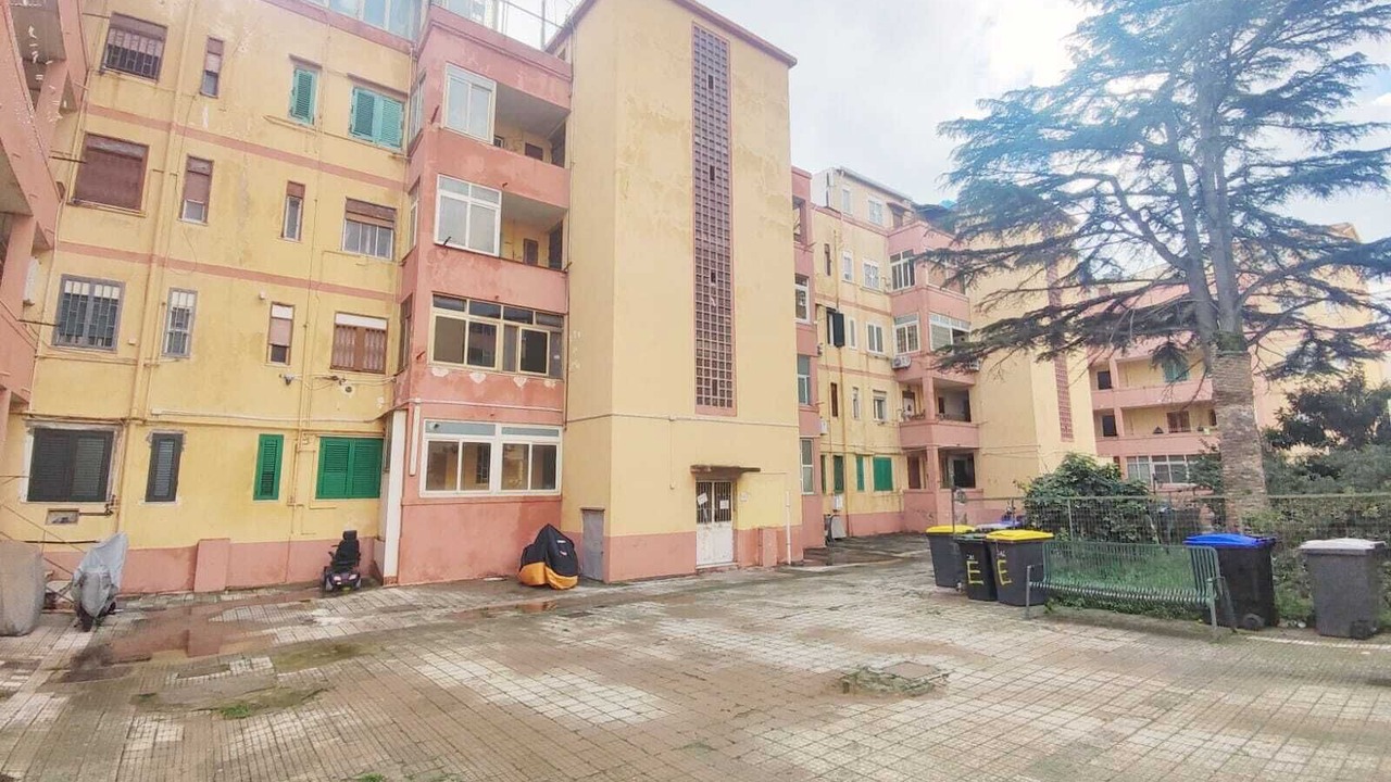 Photo of Outdoor in Gazzi