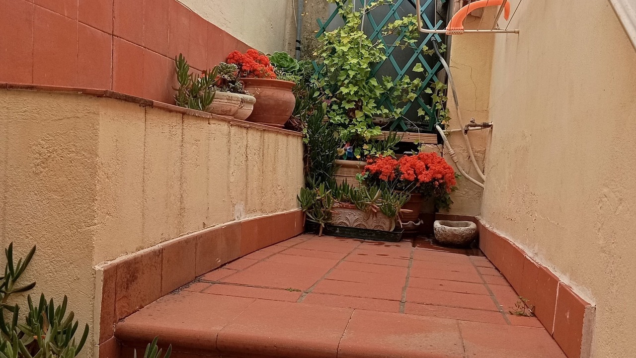 Photo of Outdoor in Pedara