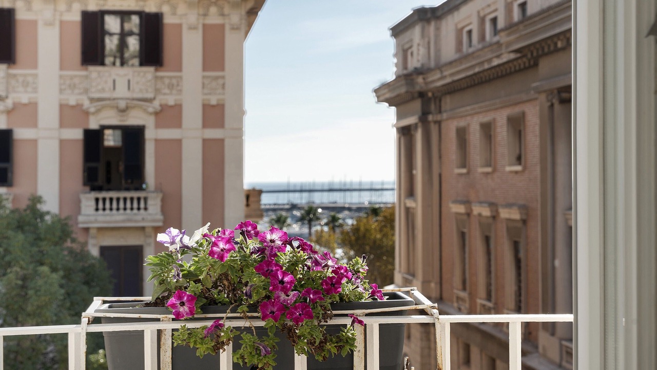 Photo of Outdoor in Historical Downtown Salerno