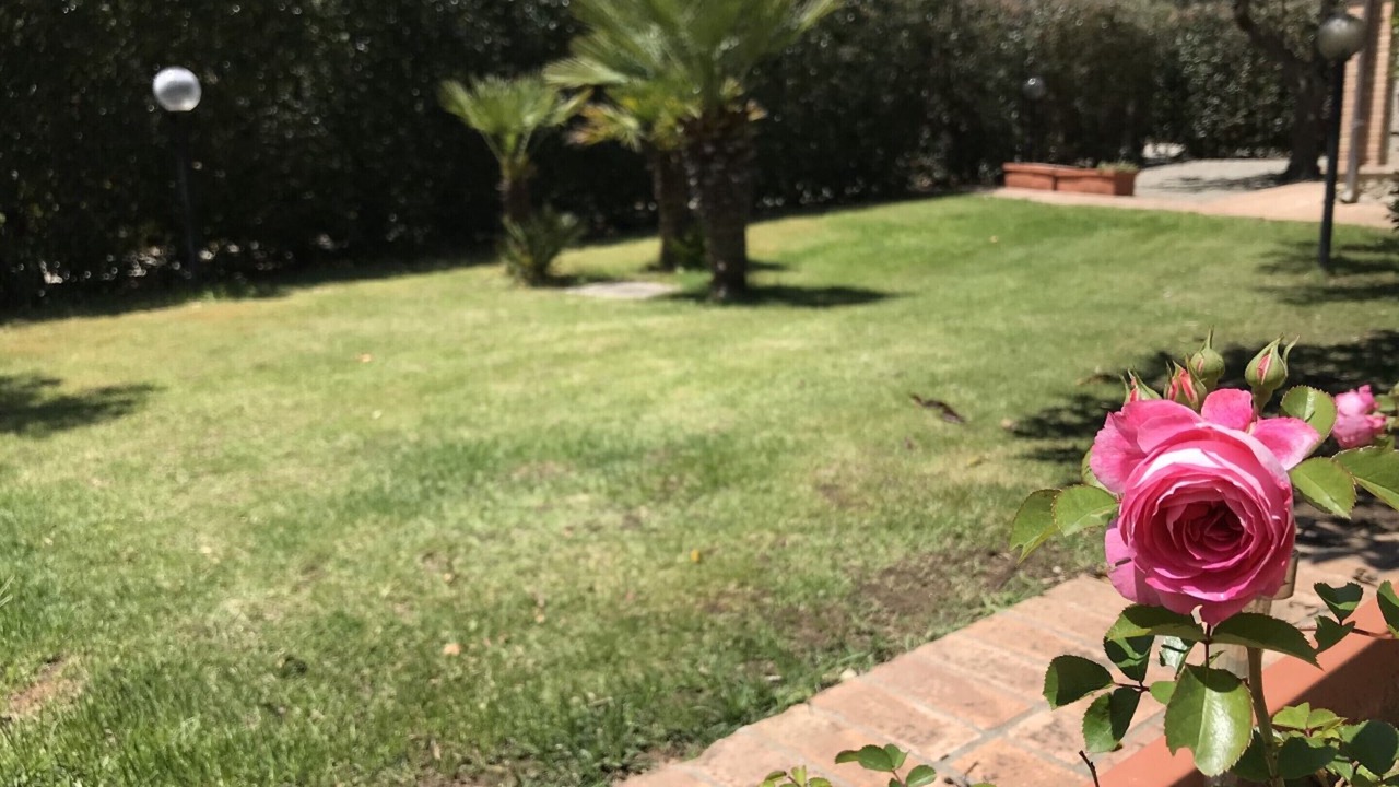Photo of Outdoor in Staletti