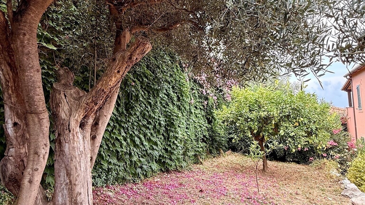 Photo of Outdoor in Zambrone