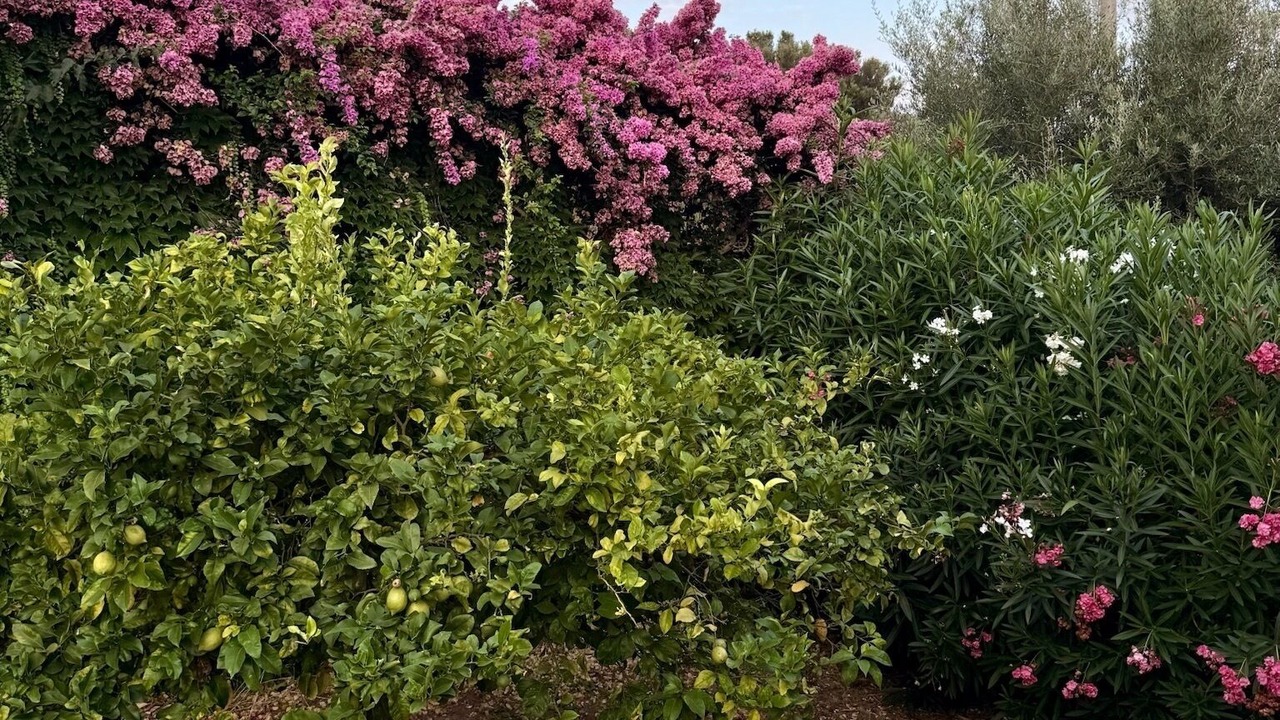 Photo of Outdoor in Zambrone