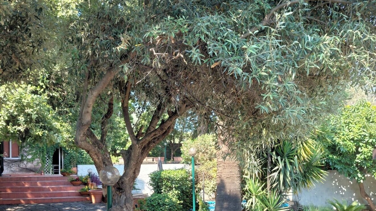 Photo of Outdoor in San Pietro Clarenza