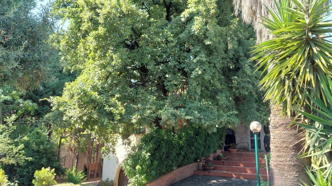 Photo of Outdoor in San Pietro Clarenza