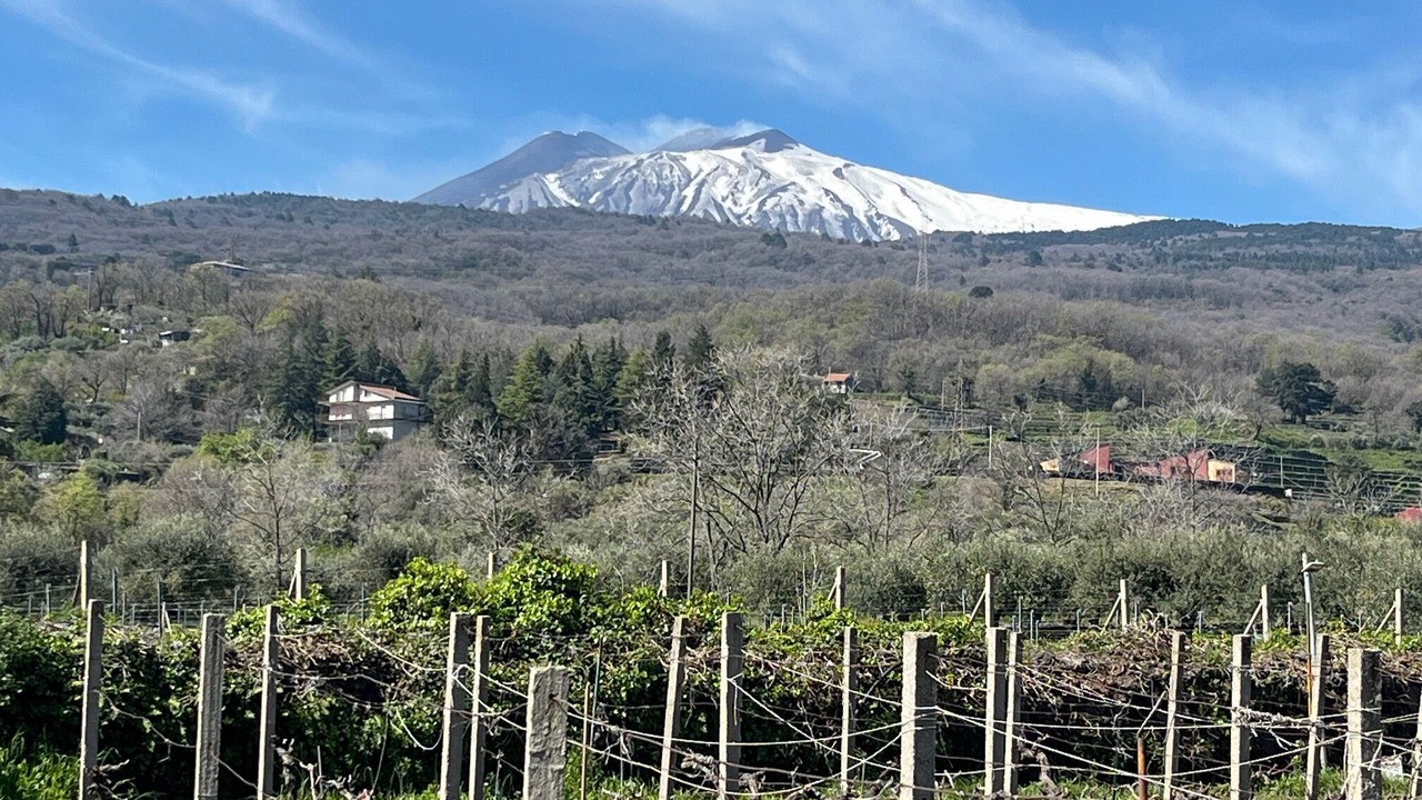 Photo of Others in Mascali