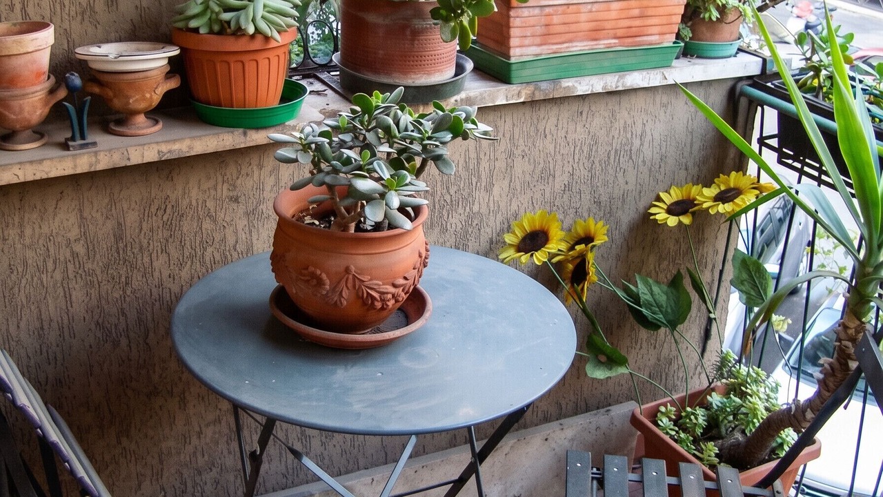 Photo of Patio Balcony in Quartiere XVII Trieste