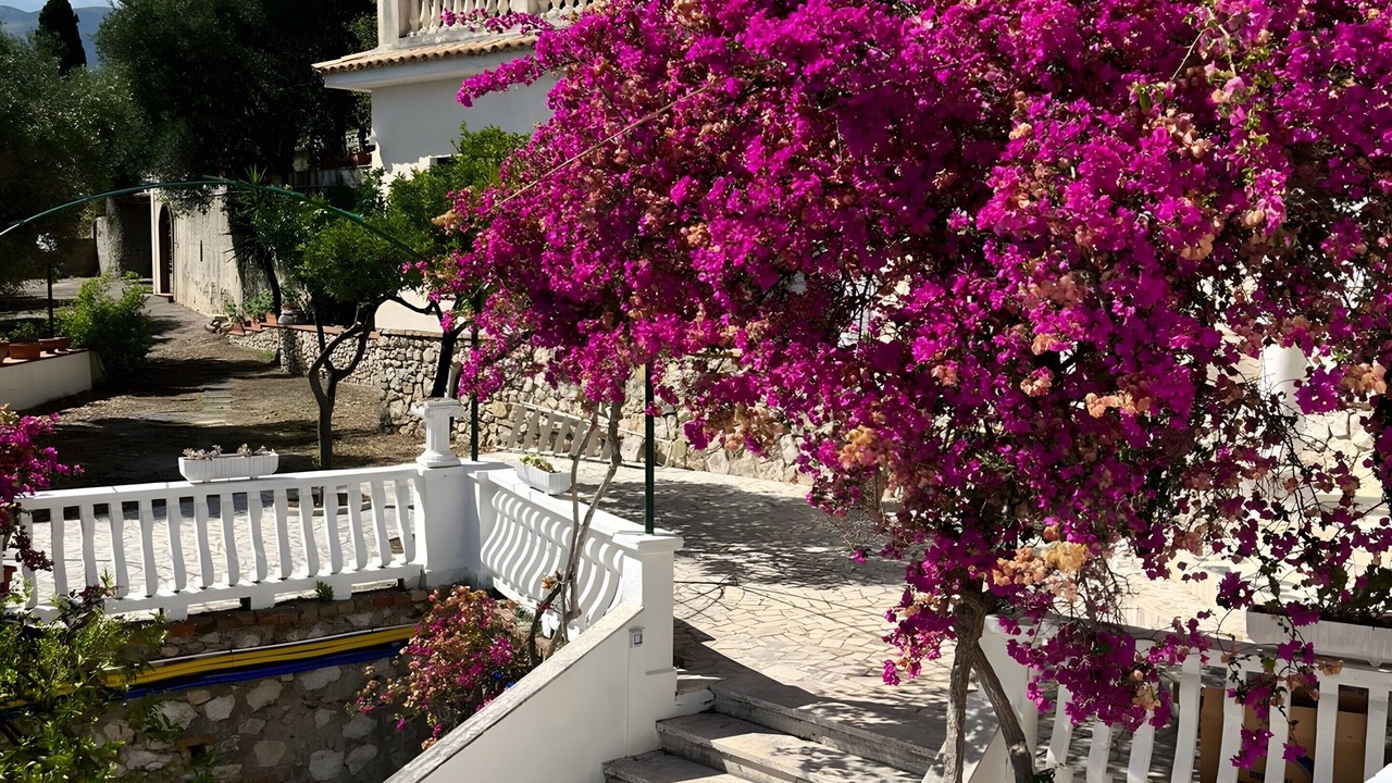 Photo of Outdoor in Minturno