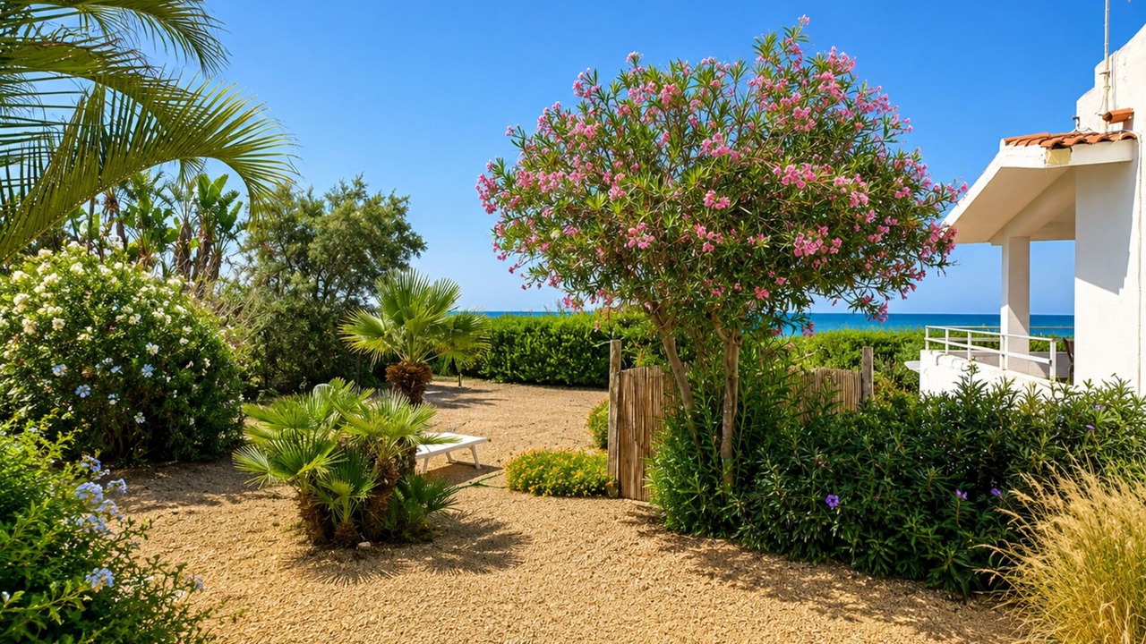 Photo of Patio Balcony in Punta Braccetto