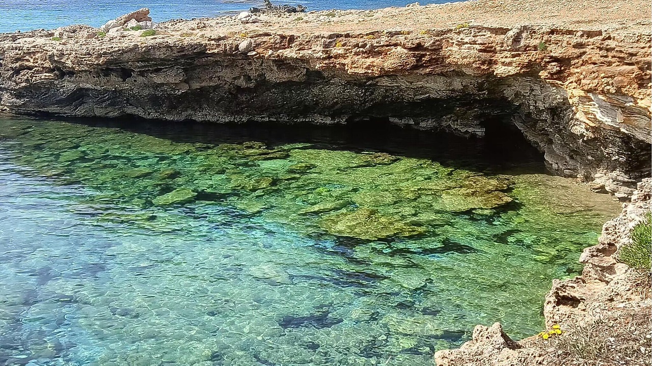 Photo of Others in Custonaci