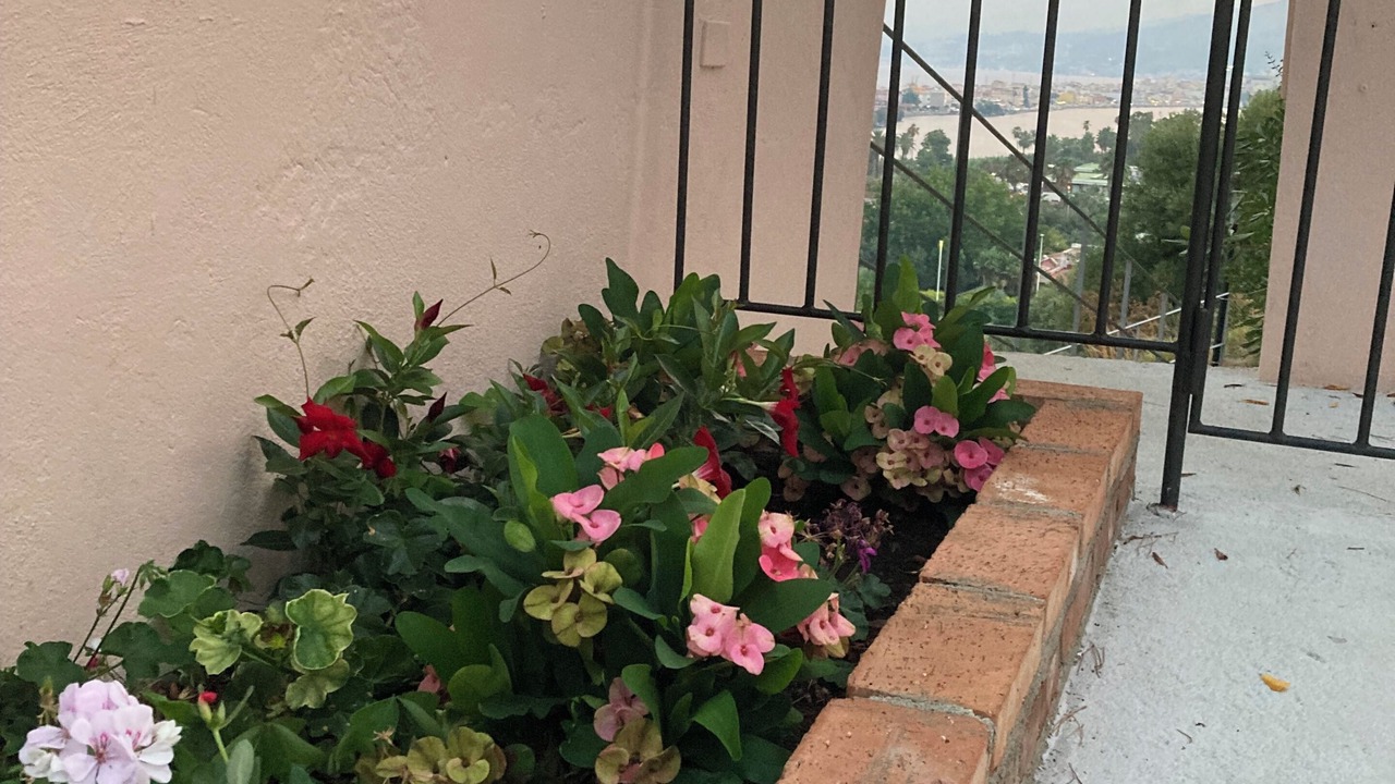 Photo of Outdoor in Capo Peloro
