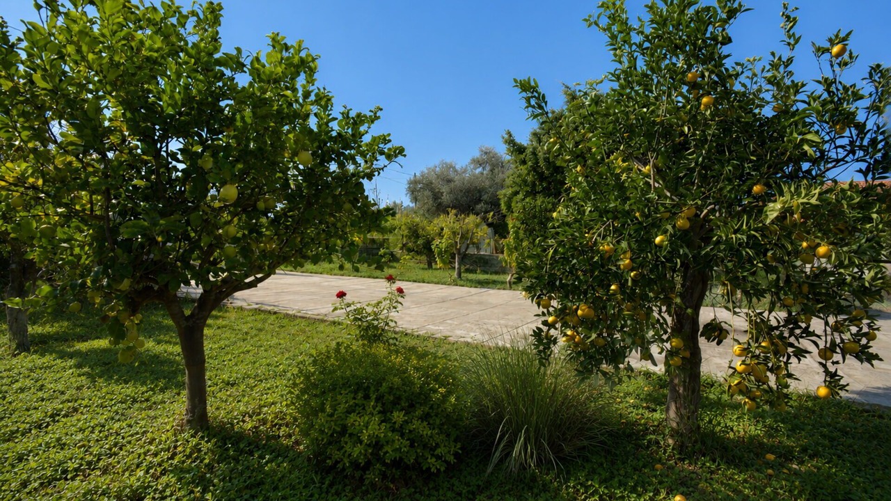 Photo of Outdoor in Augusta