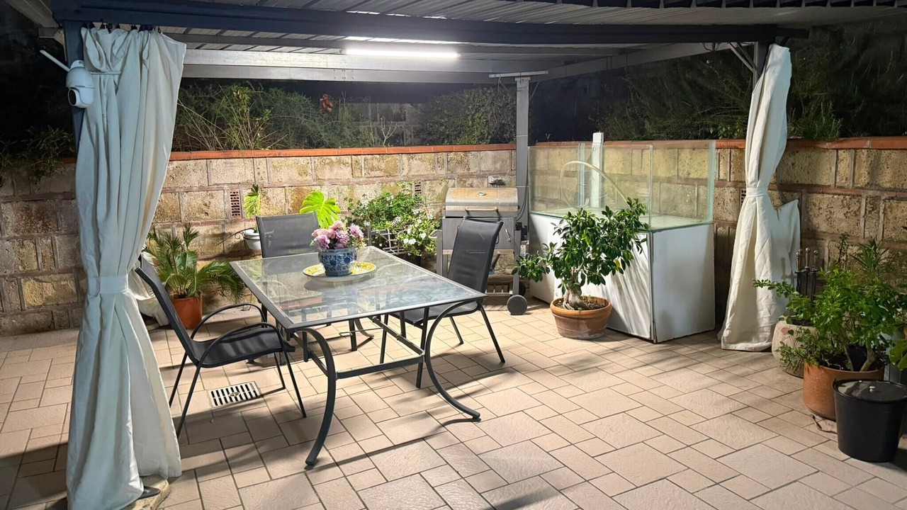 Photo of Outdoor in Licola