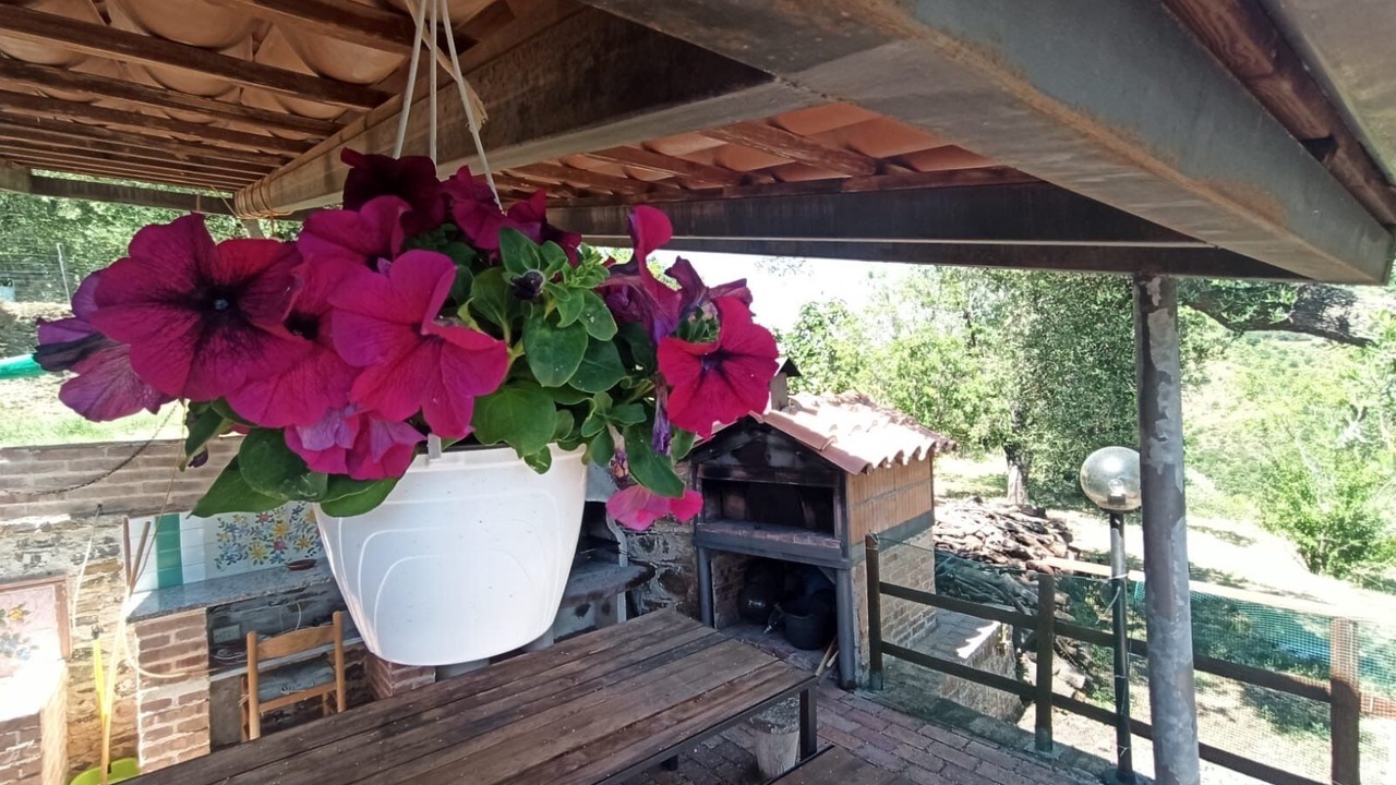 Photo of Patio Balcony in Ascea