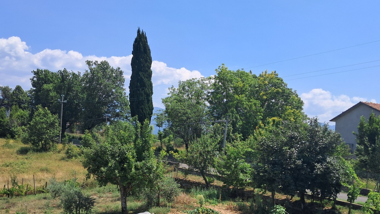 Photo of Outdoor in Laino Borgo