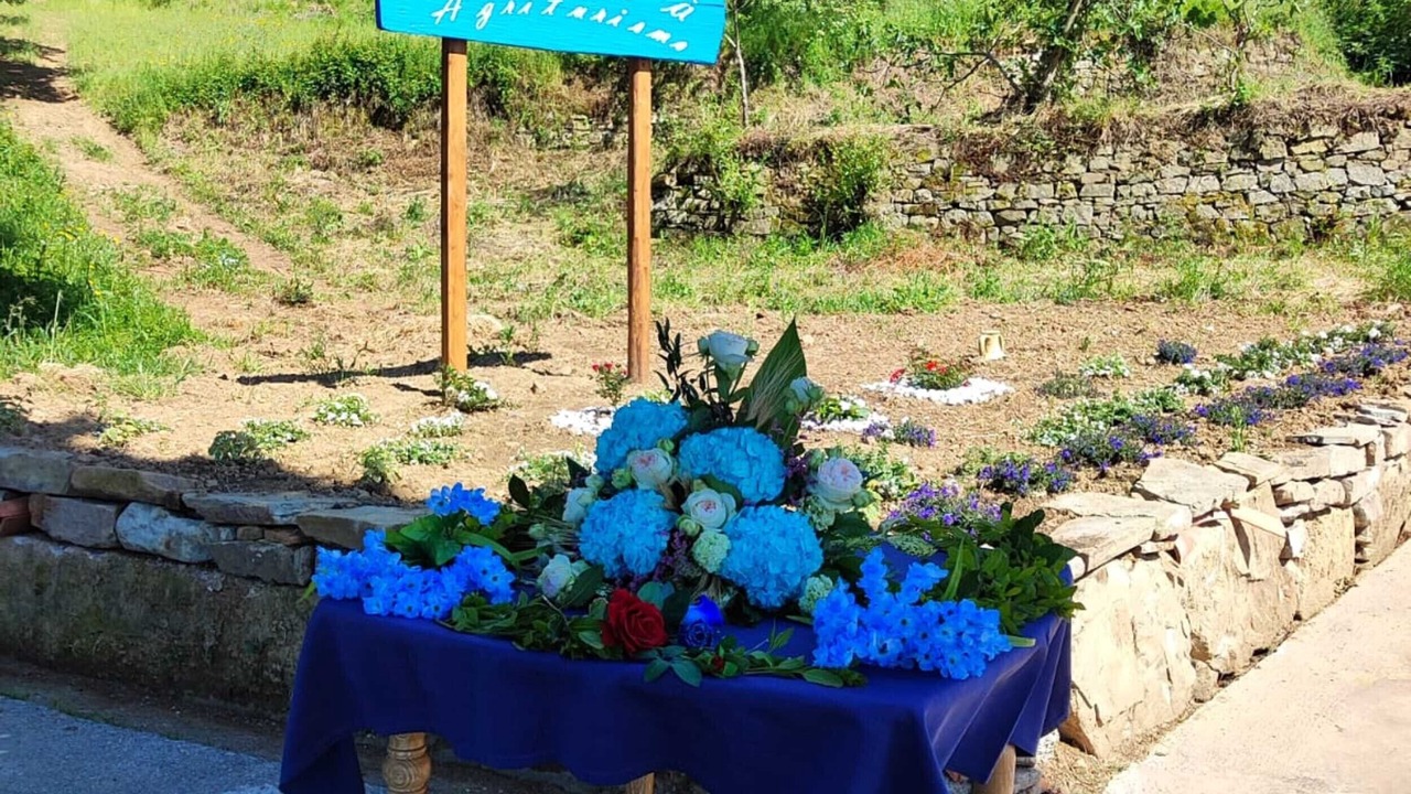 Photo of Outdoor in Serramezzana