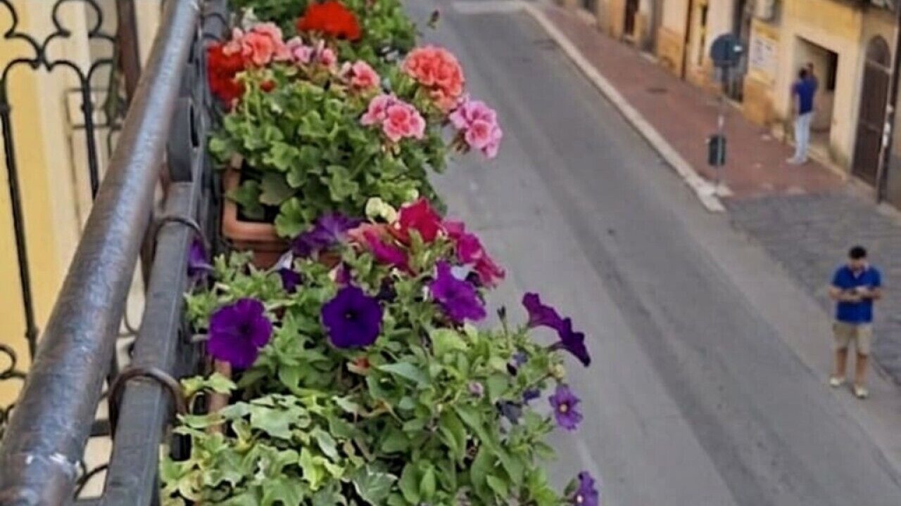 Photo of Others in Caltanissetta