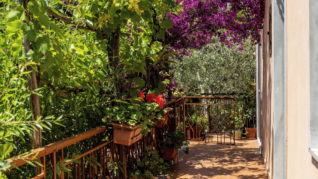 Photo of Outdoor in Pioppi