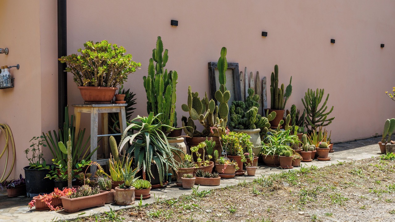 Photo of Outdoor in Pioppi