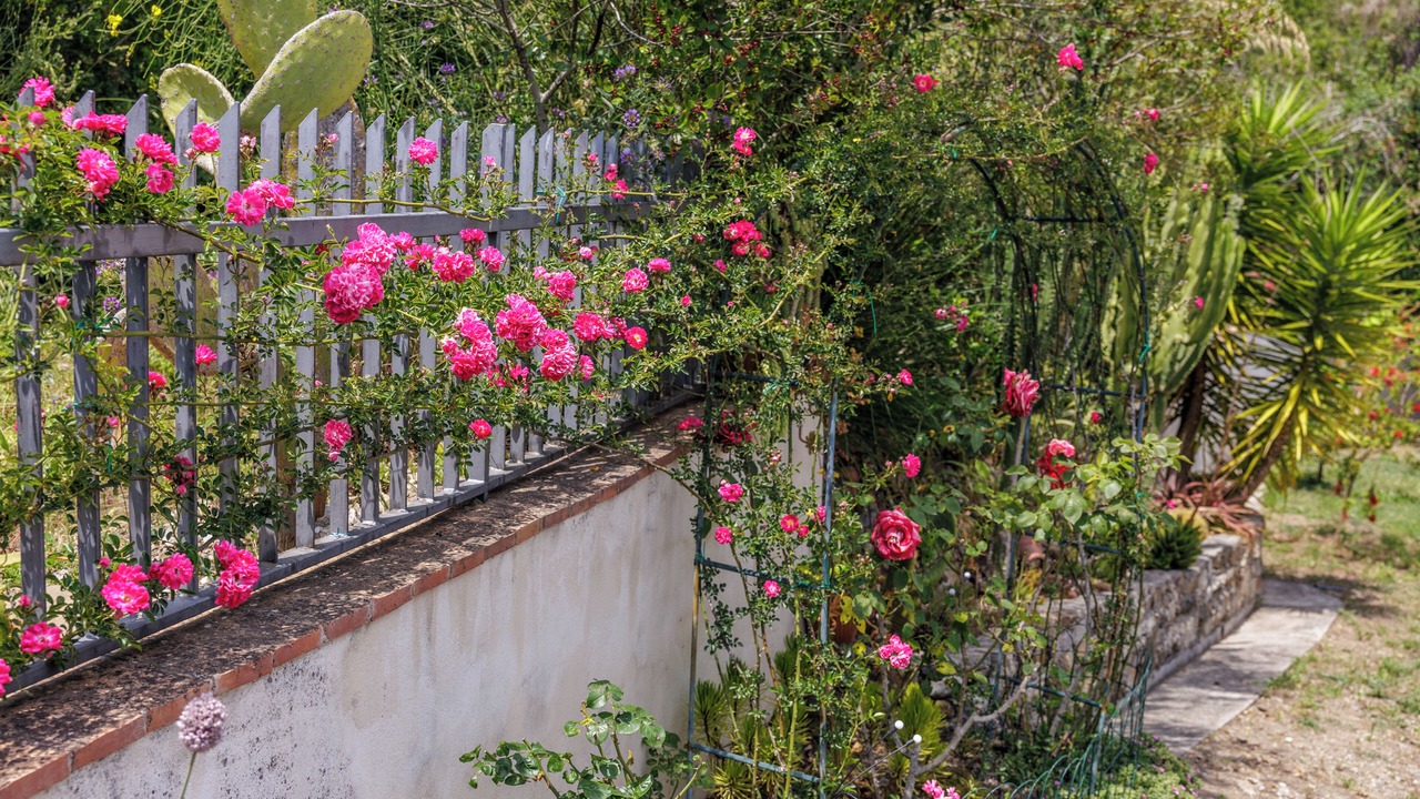Photo of Outdoor in Pioppi