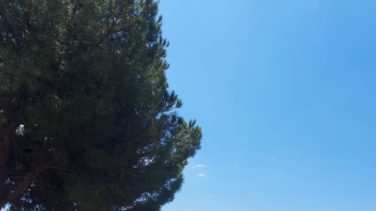 Photo of Outdoor in Bonifati