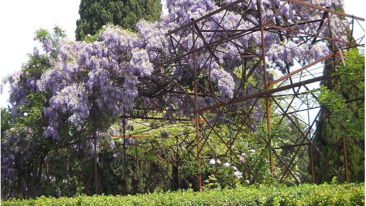 Photo of Patio Balcony in San Brizio
