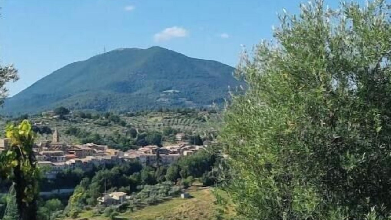 Photo of Outdoor in Torri in Sabina
