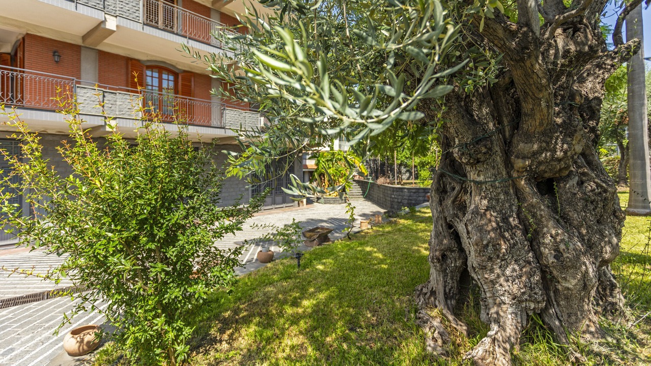 Photo of Outdoor in Aci Sant'Antonio