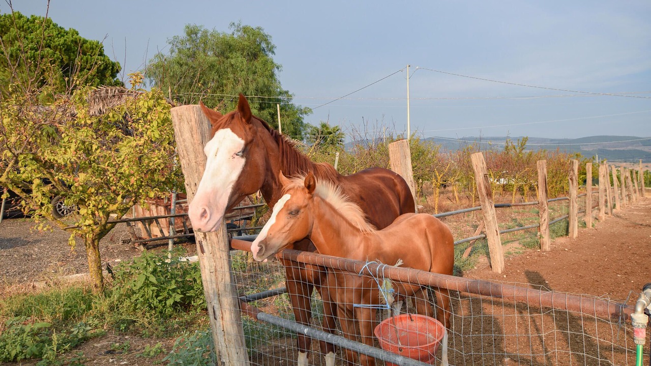 Photo of Others in Chiaramonte Gulfi