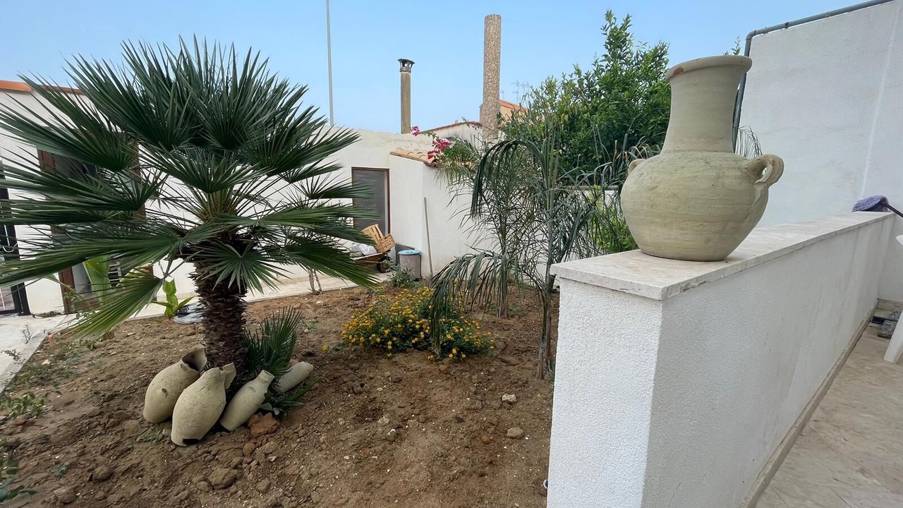Photo of Outdoor in Mockarta