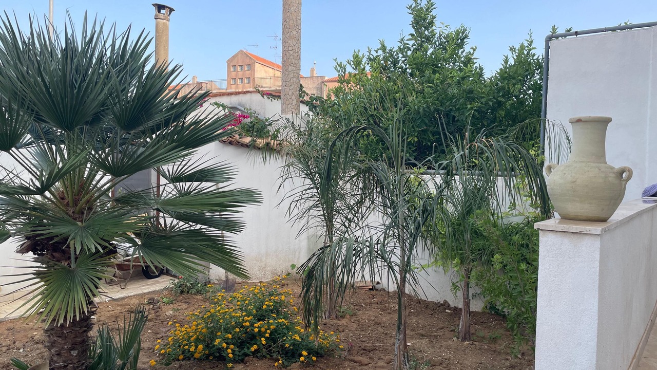 Photo of Outdoor in Mockarta