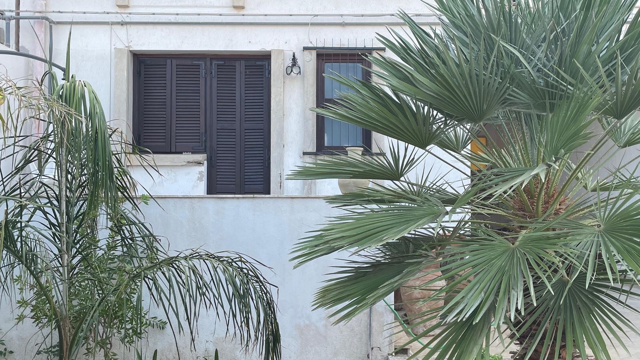 Photo of Outdoor in Mockarta