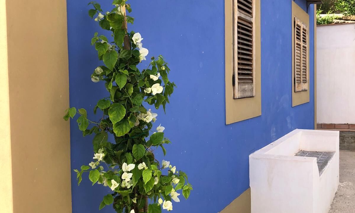 Photo of Outdoor in Reitano