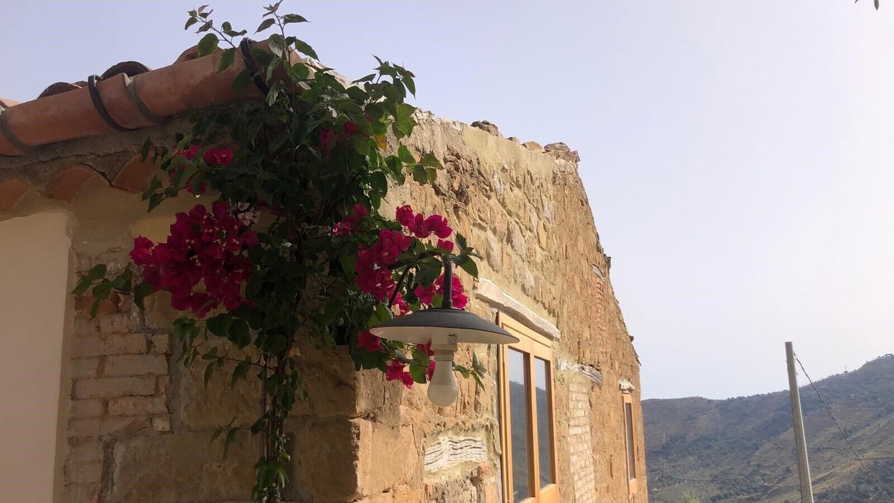 Photo of Outdoor in Reitano