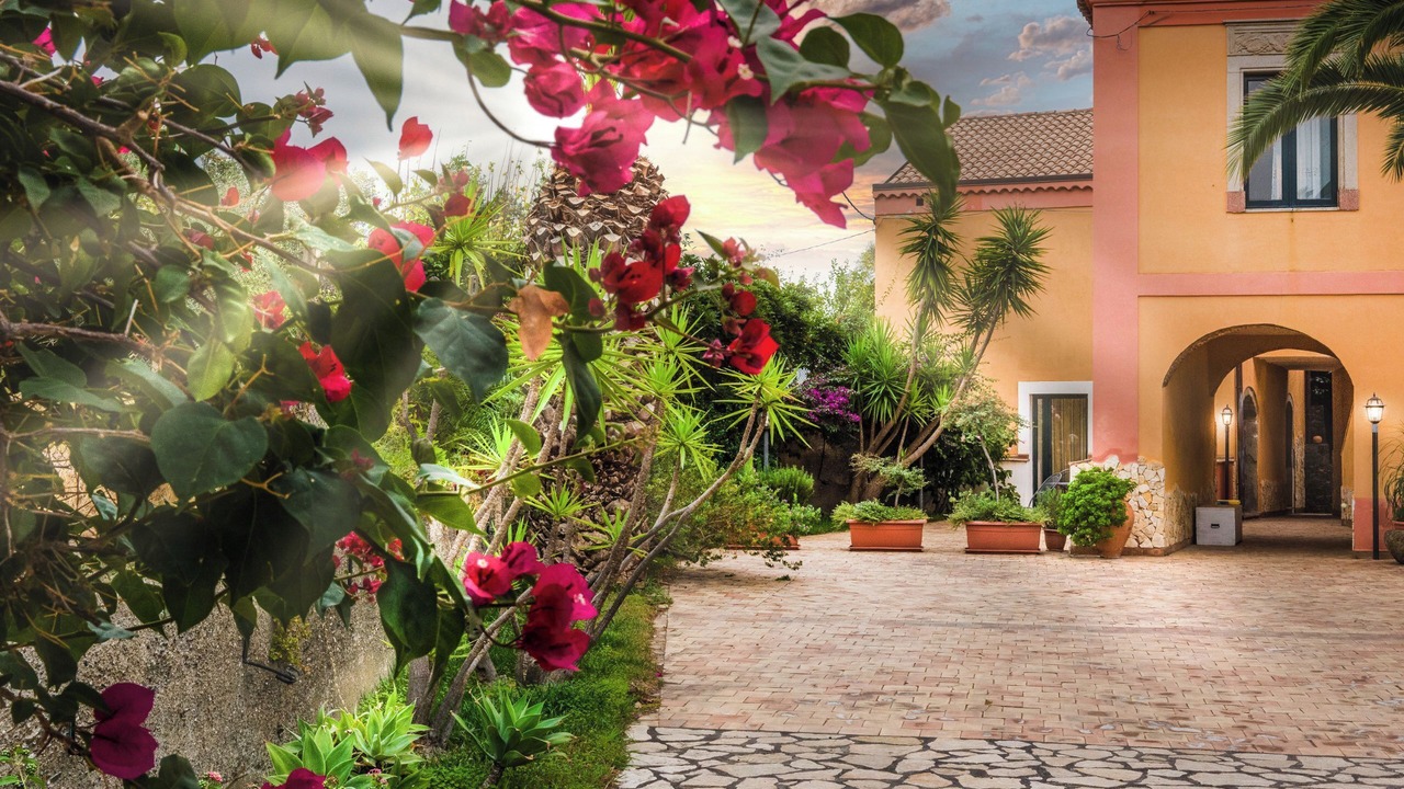 Photo of Outdoor in Mitogio