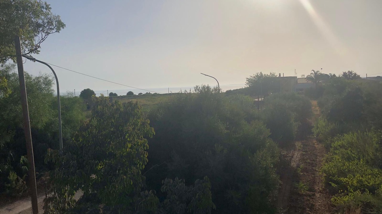 Photo of Outdoor in Porto Palo