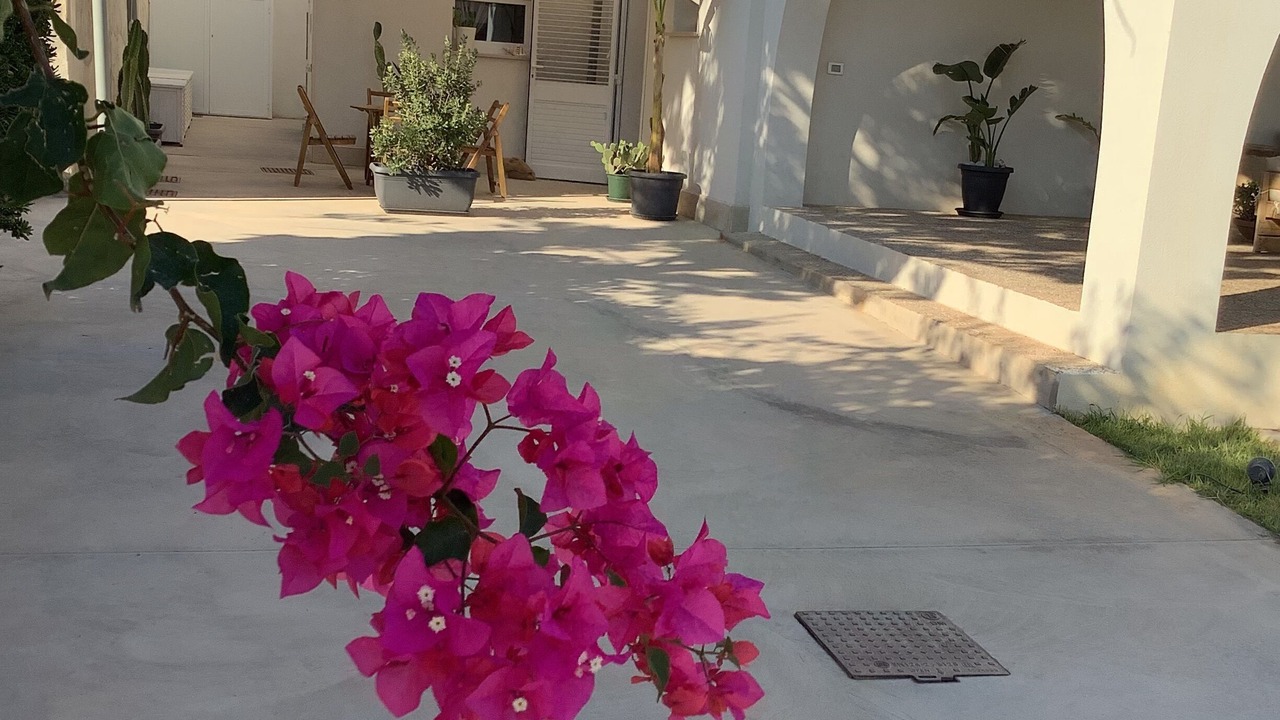 Photo of Outdoor in Pizzolungo