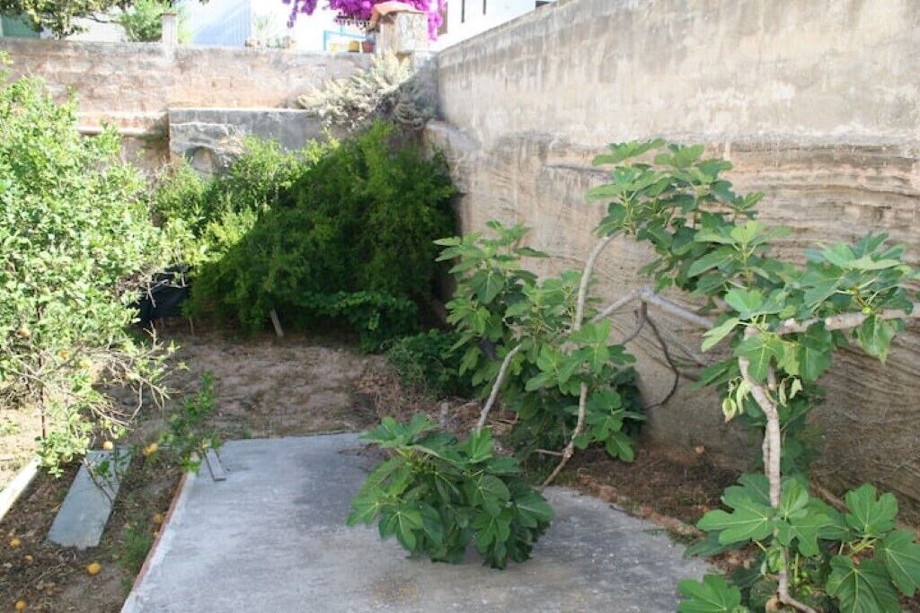 Photo of Outdoor in Favignana