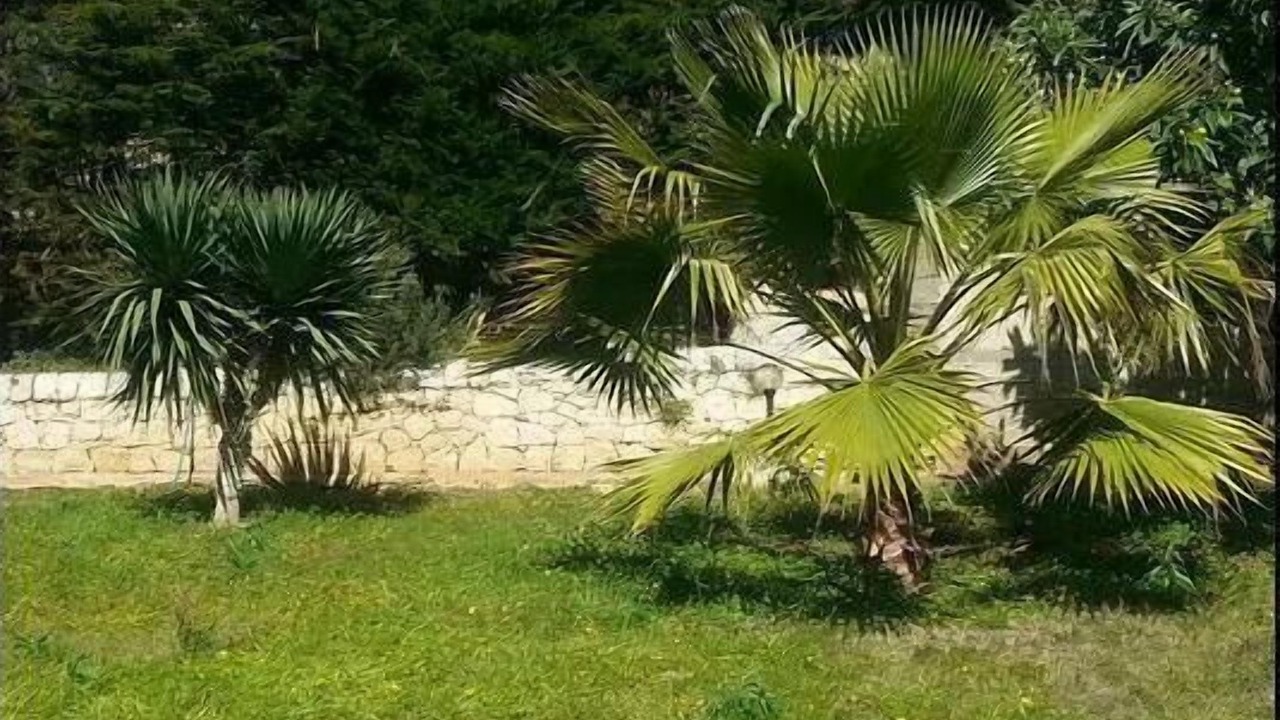 Photo of Outdoor in Cava dʼAliga