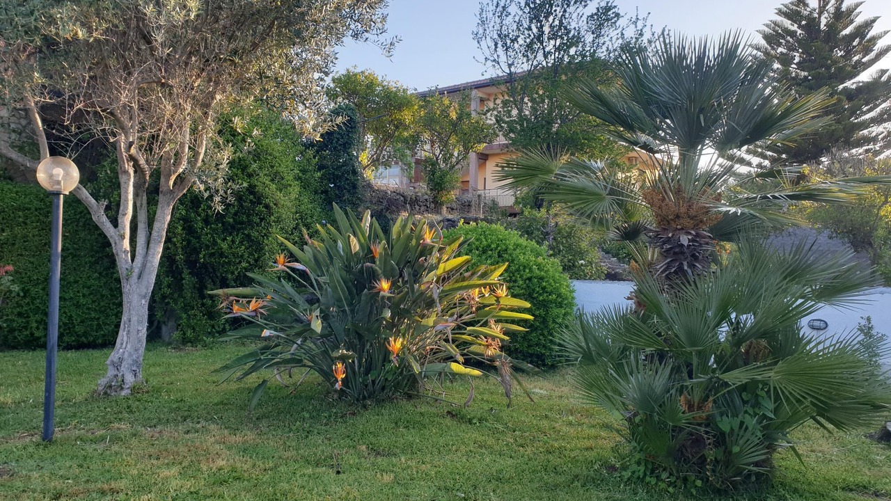 Photo of Outdoor in Maugeri