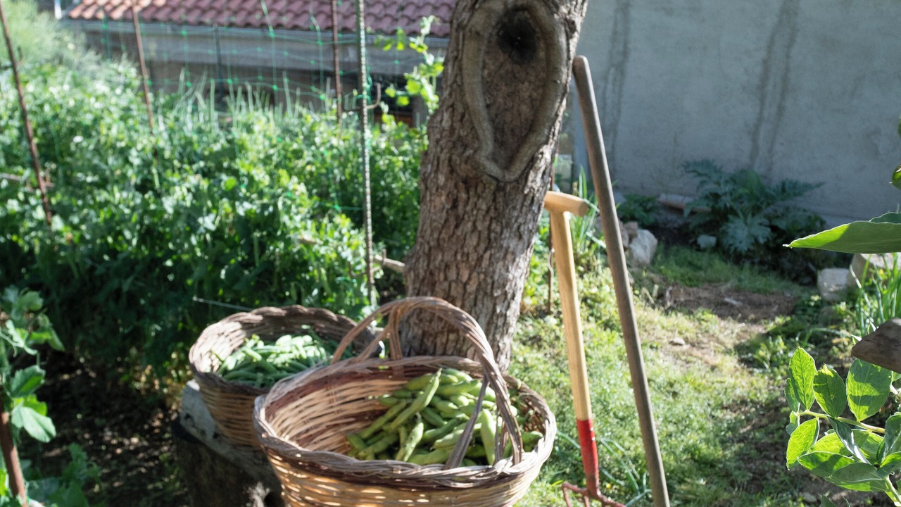 Photo of Outdoor in San Salvatore di Fitalia