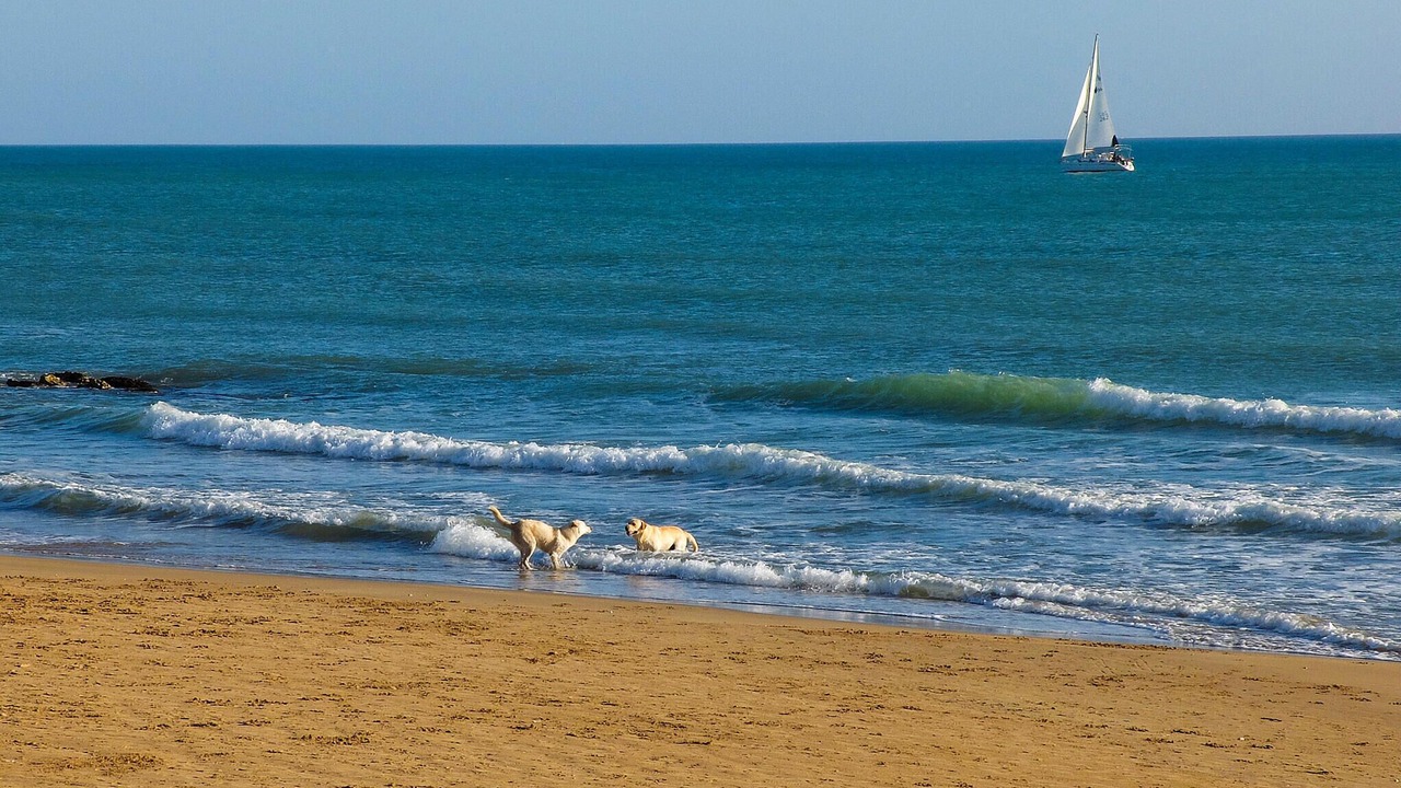 Photo of Others in Caucana-finaiti-casuzze-finaiti Nord
