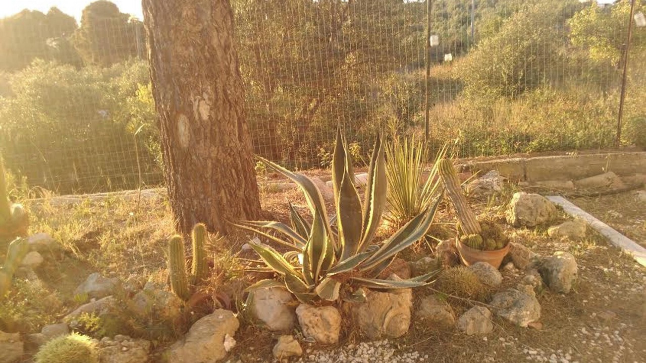 Photo of Outdoor in Sciacca