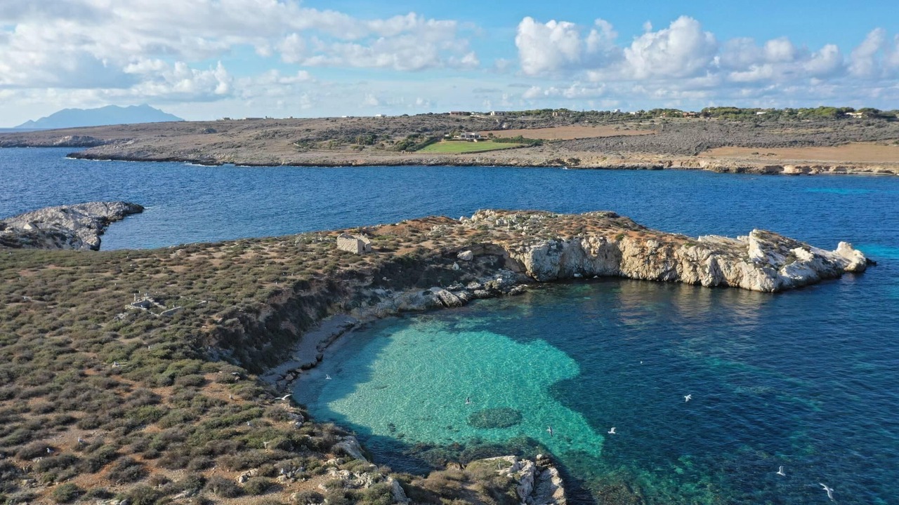 Photo of Others in Favignana