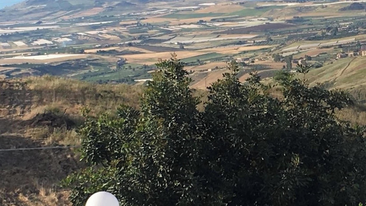 Photo of Others in Favara