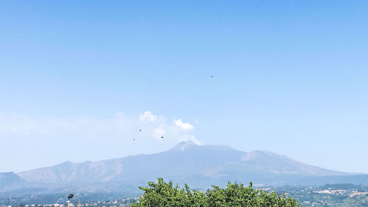 Photo of Others in Porticato