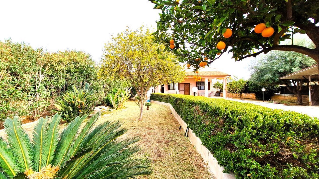 Photo of Outdoor in Arenella