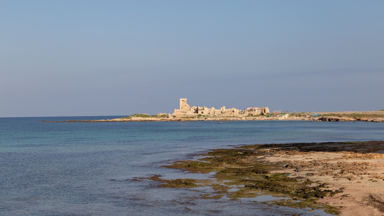 Photo of Others in Trapani