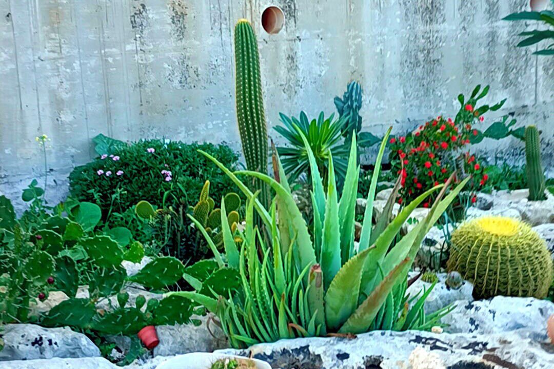 Photo of Outdoor in Brucoli