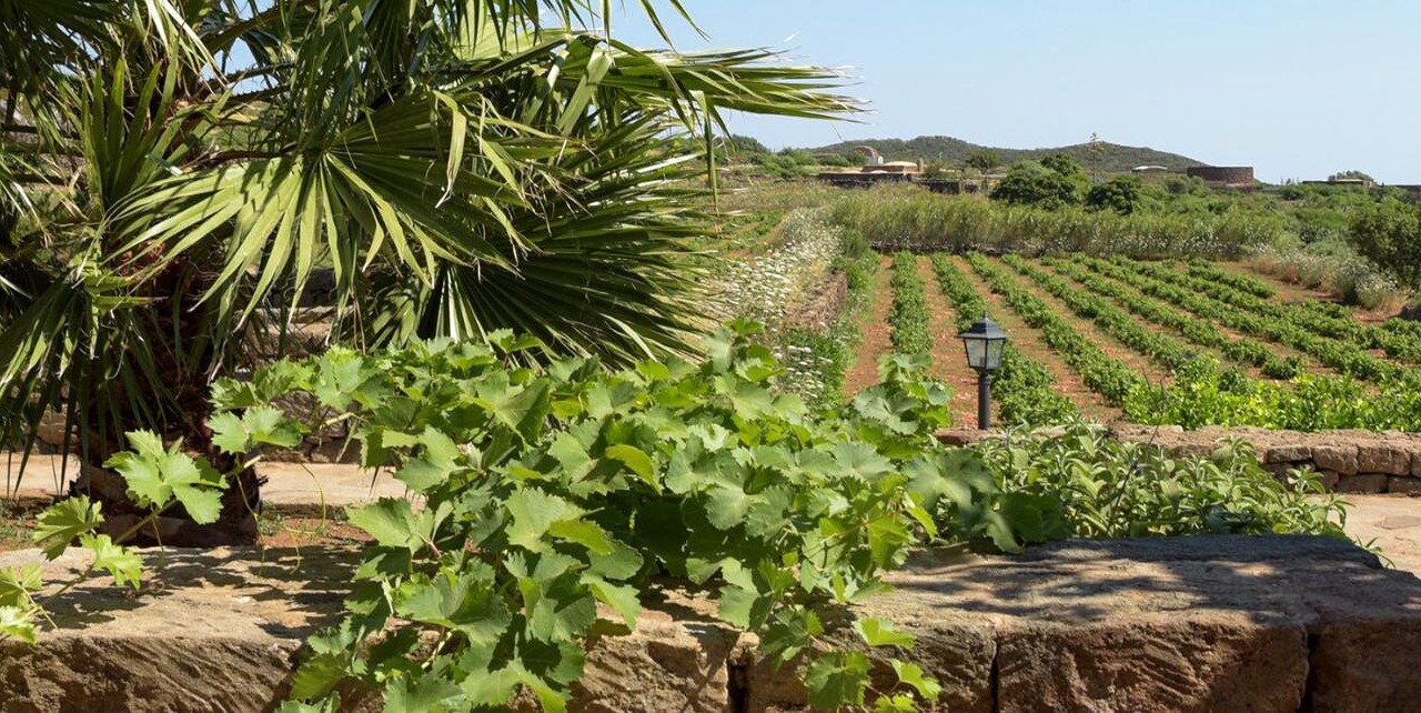 Photo of Outdoor in Pantelleria